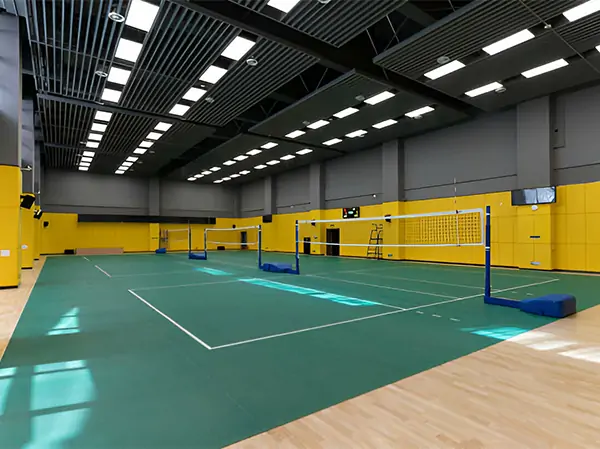 volleyball-main